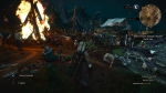 witcher3 2015-07-17 01-01-55-66