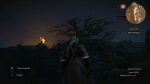witcher3 2015-07-17 01-15-38-10